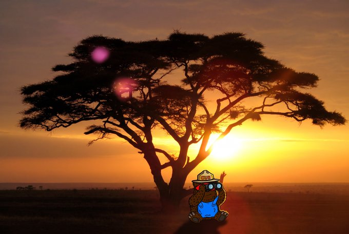 A silhouetted acacia tree against an orange sunset with a small cartoon character wearing a cap and overalls sitting in the foreground.