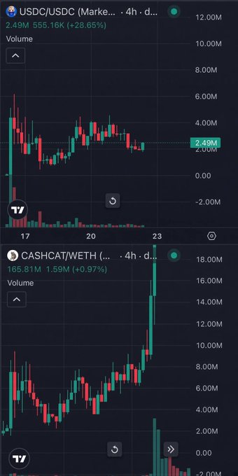 Two cryptocurrency trading charts shown on TradingView (TV), displaying 4-hour price data for USDC/USDC at 2.49M (+28.65%) and CASHCAT/WETH at 165.81M (+0.97%).