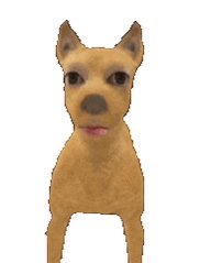 The image features a cartoon dog with brown fur, standing upright against a white background. The dog appears to be looking directly at the camera, giving an impression of being aware of its surroundings. The caption below the image reads "曹尼玛大家管你叫他妈加密皇帝", which is a reference to the popular cartoon character, Mr. Big Ben from the TV show "The Simpsons".
