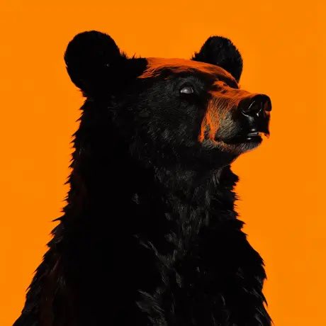 The image features a black bear with its head turned to the left, giving an impression that it's looking at something or someone off-camera. The background of the image is orange, which contrasts with the dark fur of the bear making it stand out even more. There are no other objects in the image besides the bear and the orange background.