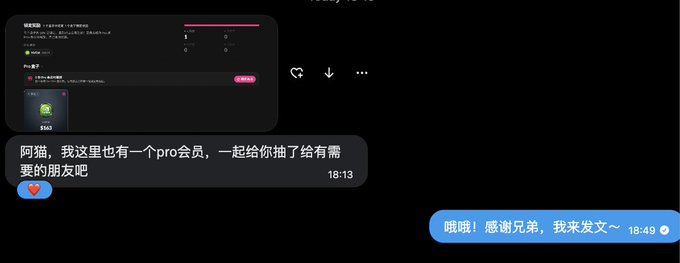 A screenshot of a chat conversation in Chinese where one user offers a 'pro membership' to another, who expresses gratitude.