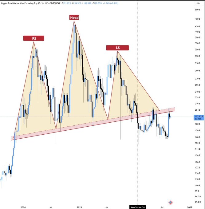 A weekly chart of Crypto Total Market Cap Excluding Top 10 (CRYPTOCAP) displays a Head and Shoulders pattern with a Head near 460B, Left Shoulder (LS) and Right Shoulder (RS) around 340-380B, and an ascending neckline support that has been broken—price currently sits at 192.83B after failing to flip the resistance into support, confirming the bearish reversal thesis that the altcoin pump will retrace.