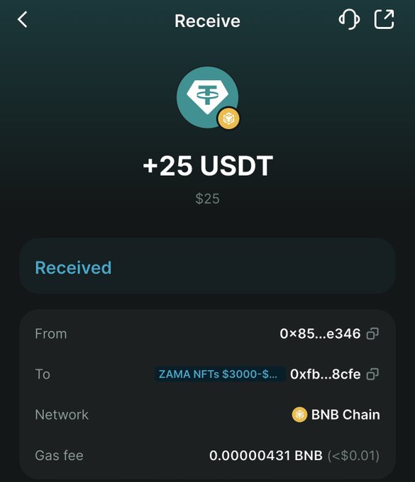 The image shows a smartphone screen displaying the details of a transaction. The main focus of the text box at the bottom is "Receive + 25 USDT ZAMA NFTS 300 S... 0x952483bf...", indicating that the person has received money from Zama NFTS 300.