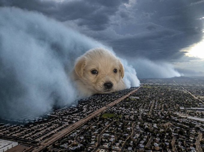 A giant golden retriever puppy's head emerges from storm clouds looming over a sprawling suburban landscape, evoking a surreal, ominous atmosphere that playfully echoes Solana's meme culture and dramatic market mood.