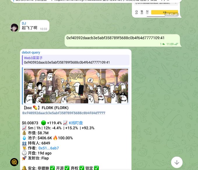 A chat screenshot of a 'debot-query' bot returning info on the cryptocurrency 'FLORK' showing a +119.4% gain and a market cap of $8.7M, featuring cartoon figures labeled 'FLORK.'