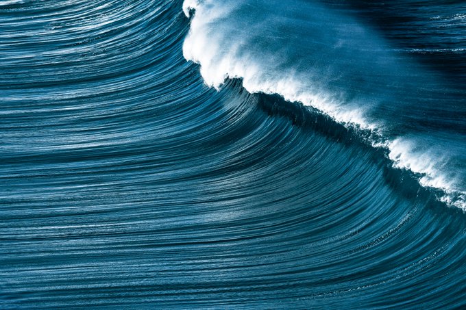 A large blue ocean wave curls and crashes, displaying white foam against deep blue water.