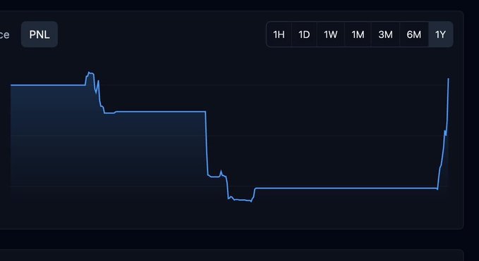 A PNL (Profit and Loss) chart on a dark interface showing a steep downward trend in a blue line graph, with time period options (1H, 1D, 1W, 1M, 3M, 6M, 1Y) at the top.