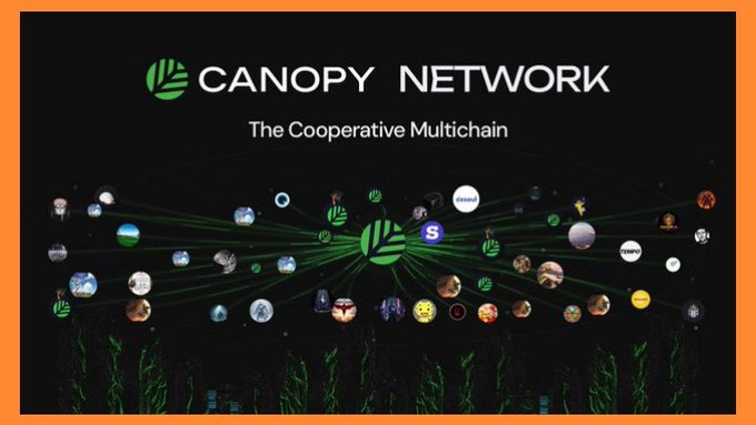 A promotional graphic for 'CANOPY NETWORK' subtitled 'The Cooperative Multichain', showing a network of interconnected circular icons.