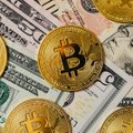 A close-up image of Bitcoin cryptocurrency coins placed on top of US dollar bills.