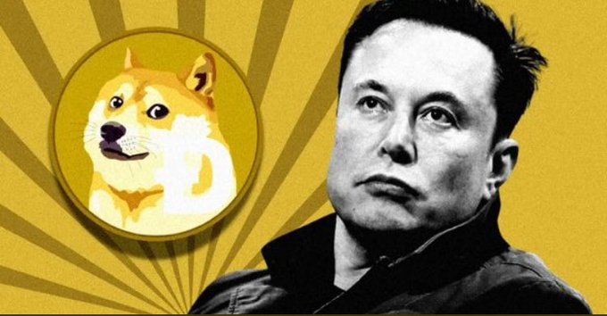 A portrait of Elon Musk appears on the right side of the image, while the Dogecoin logo (featuring the iconic Shiba Inu dog) is displayed on the left against a yellow sunburst background. The composition directly ties to Musk's quote about Dogecoin being "unstoppable," visually linking the Tesla/SpaceX CEO with the meme-inspired cryptocurrency he has repeatedly championed.