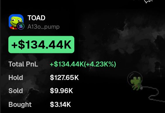 A screenshot showing crypto portfolio statistics for 'TOAD' (A13o...pump) with a total PnL of +$134.44K (+4.23K%), holdings of $127.65K, sold $9.96K, and bought $3.14K, with a small green frog illustration.