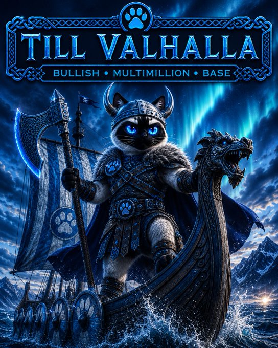 A fantasy illustration depicts an armored cat warrior wielding an axe on a Viking ship, topped with a banner reading 'TILL VALHALLA' and 'BULLISH • MULTIMILLION • BASE'.
