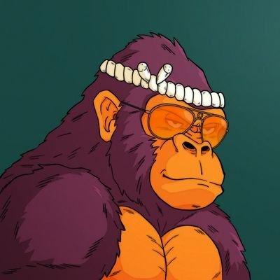 A digital illustration of a purple gorilla wearing orange sunglasses and a white rope headband, shown in profile against a dark green background.