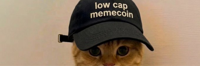 A close-up of a cat wearing a black cap with the text "low cap memecoin" displayed on it, matching the $LCM ticker for the Low Cap Memecoin banner shared by a community member on Moby.
