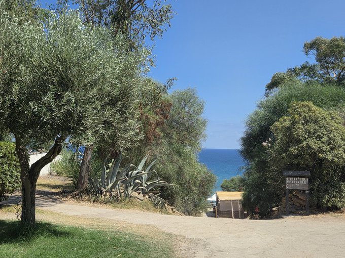 A scenic outdoor view from a path lined with olive trees, agaves, and other greenery, looking down toward a blue sea under a clear sky, with a wooden sign visible on the right.