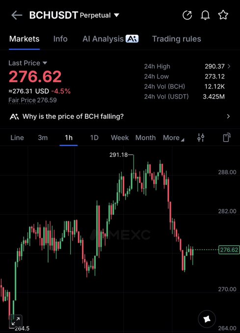 A cryptocurrency market chart shows BCHUSDT Perpetual trading at $276.62, down 4.5%, with a visible 24-hour range of $273.12–$290.37. The accompanying “$bch $300+” post contrasts with the chart, which is well below the $300 target.