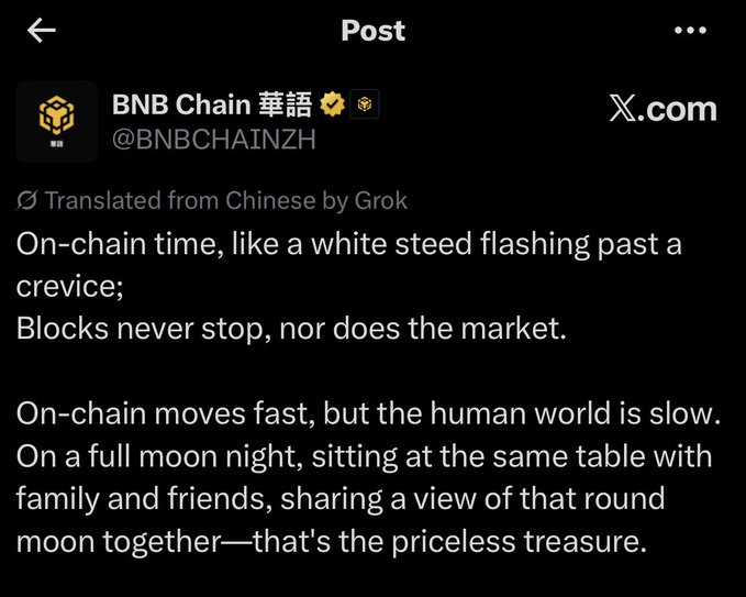An X.com post from @BNBCHAINZH containing a translated poetic message about on-chain time being fast like a white steed, while family time under the full moon is the priceless treasure.