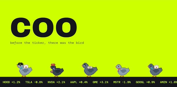 A pixel-art style graphic with a neon green background displays the word "coo" in bold black letters above the tagline "before the ticker, there was the bird," featuring five pixelated birds below and a stock ticker showing HOOD +1.2%, TSLA -0.8%, NVDA +2.1%, AAPL +0.4%, GME +3.1%, MSTR -1.9%, GOOGL +0.9%, and AMZN +1.6%.