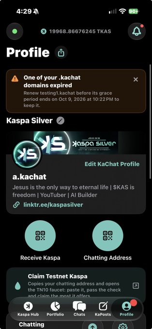 A profile screen for "a.kachat" displays a notification that one of the user's .kachat domains has expired, with the message "Renew testing1.kachat before its grace period ends on Oct 9, 2026 at 10:22 PM to keep it." The warning visually reinforces the post's claim that .kachat domains are rented rather than owned permanently, prompting users to renew before expiration.