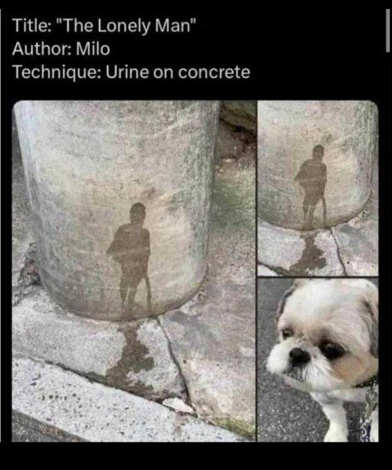 A humorous meme titled 'The Lonely Man' by 'Milo' using 'Urine on concrete' as the technique, showing shadow silhouettes of a man and his small dog on a concrete pillar, with a photo of a Shih Tzu dog.