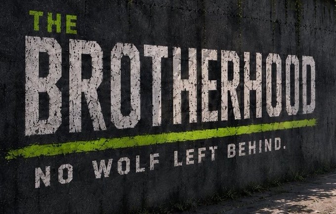 A dark, weathered wall displays the slogan "THE BROTHERHOOD" in large white letters, underlined in bright green with the tagline "NO WOLF LEFT BEHIND." beneath it, reinforcing the post's message about the $PACK community's strong unity and loyalty through both market highs and lows.