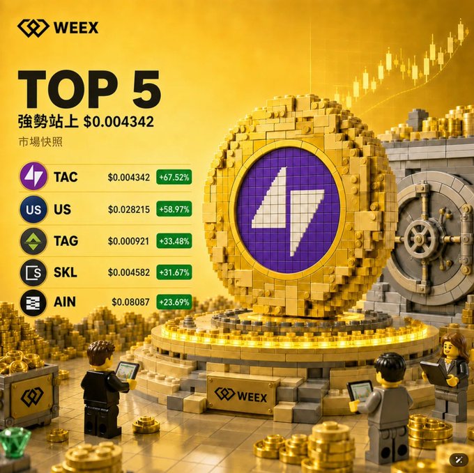 A WEEX crypto exchange promotional graphic showing 'TOP 5' market snapshot with tokens TAC ($0.004342, +67.52%), US ($0.028215, +58.97%), TAG ($0.000921, +33.45%), SKL ($0.004582, +31.67%), and AIN ($0.08087, +23.69%) displayed alongside a large gold coin and Lego-style figures.