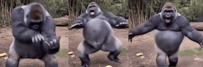 This is a triptych of a gorilla in a dynamic pose, evoking strength and individuality, aligning with the post's message about $LAYOOO carving its own unique path. The gorilla's powerful stance suggests the project is building something substantial.