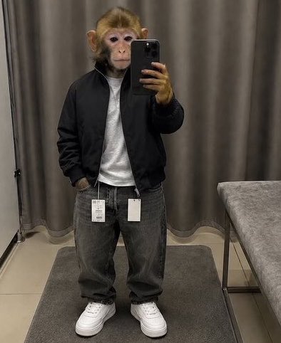 A monkey wearing a black jacket, gray sweatpants, and white sneakers taking a mirror selfie with a smartphone in what appears to be a dressing room.