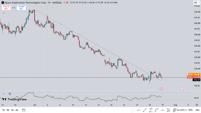 A TradingView chart of Space Exploration Technologies Corp (ticker SPAX) on NASDAQ shows a steep downtrend from $175 to around $110, with the stock bouncing off support near $110.12 amid skepticism, highlighting the irony of someone labeling a clearly bearish chart as "the most bullish thing I've ever seen"—likely referring to the oversold RSI indicating a potential reversal rather than the downtrend itself.
