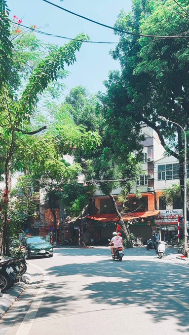 A sunlit street scene lined with lush green trees, showing motorbikes and a car driving down a road with buildings in the background.