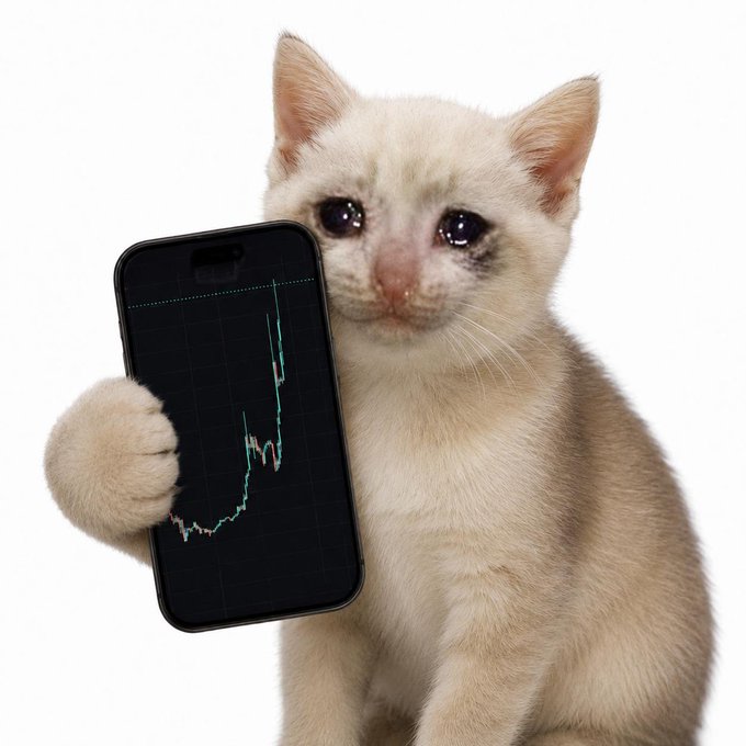 A light-colored kitten with sad eyes holds up a smartphone displaying a green and red financial trading chart against a white background.