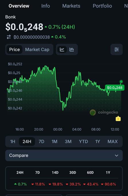 A CoinGecko price chart for Bonk (BONK) shows the token trading at $0.0₅248, up 0.7% in 24 hours, with negative returns of 11.8% over 7 days, 19.8% over 14 days, 39.2% over 30 days, 43.4% over 60 days, and 90.6% over 1 year.