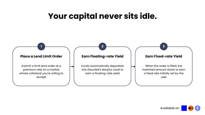 The image is an infographic titled "Your capital never sits idle" that outlines a three-step lending process: (1) Place a Lend Limit Order by submitting a premium-rate offer on an accepted market, (2) Earn Floating-rate Yield through Gauntlet's Morpho vault, and (3) Earn Fixed-rate Yield once the order is matched and set by the user, available on Ethereum, Morph, and Base.

**Relation to the post:** The post discusses the delayed TermMax TGE (Token Generation Event), suggesting investors need to keep waiting/staking. This image illustrates an alternative yield-earning strategy in DeFi (via Gauntlet/Morpho) that could serve as a placeholder for capital while waiting for TermMax to launch, allowing users to keep their funds productive in the interim.