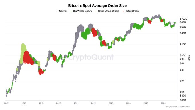 CryptoQuant chart titled 'Bitcoin: Spot Average Order Size' displaying price trends from 2017 to 2026, with markers indicating Normal, Big Whale Orders, Small Whale Orders, and Retail Orders.