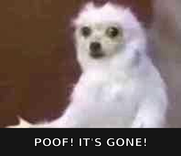 A blurry, low-resolution image of a small white fluffy dog with the caption 'POOF! IT'S GONE!' displayed below.