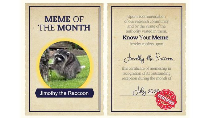 A 'MEME OF THE MONTH' certificate from Know Your Meme awarded to 'Jimothy the Raccoon' for July 2026, featuring a photo of a raccoon holding a hose and a 'CERTIFIED' red seal.
