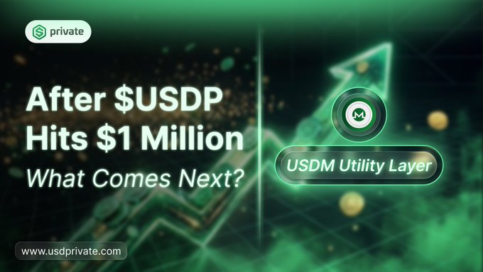 A promotional graphic with green theme announcing 'After $USDP Hits $1 Million - What Comes Next?' promoting the USDM Utility Layer at www.usdprivate.com.