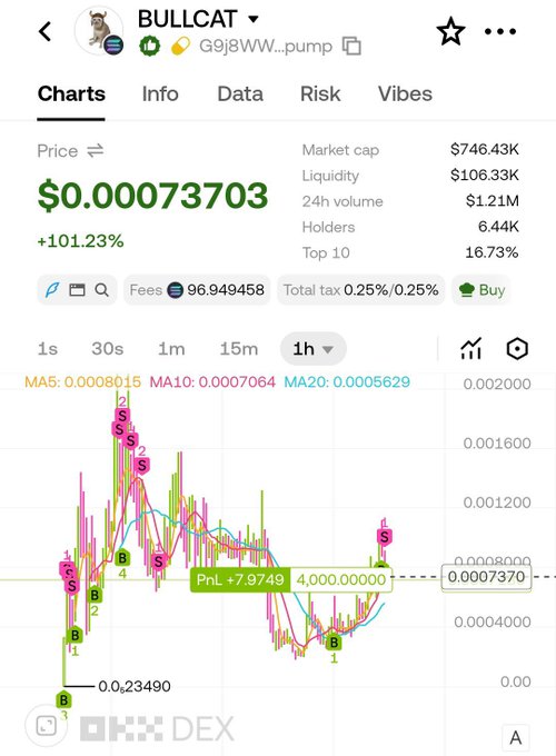 A cryptocurrency chart for 'BULLCAT' token on a DEX showing a price of $0.00073703 with a +101.23% increase, market cap of $746.43K, and liquidity of $106.33K.