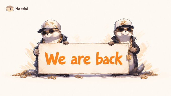 The image features two cartoon otters wearing sunglasses, holding a sign that says "We are back" with an orange background. The text on the sign reads "Following the recent unfortunate incident, all of @HaedalProtocol's vaults have been restored to their best condition". The post is about a recent event where the vault of @HaedalProtocol was affected by an incident and has now been restored.