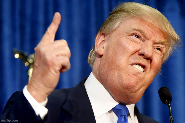 A meme image showing Donald Trump pointing upward with his index finger, wearing a dark suit and blue tie, with a grimacing expression. The image has an 'imgflip.com' watermark in the bottom left corner.