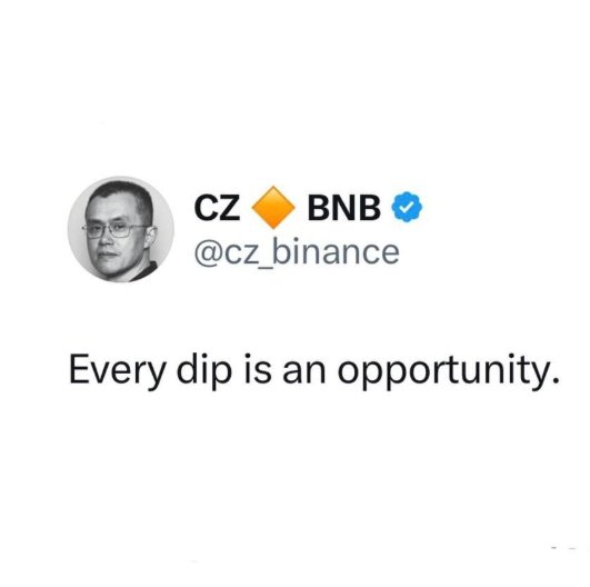 A tweet from CZ Binance (@cz_binance) with the BNB logo reads, "Every dip is an opportunity."