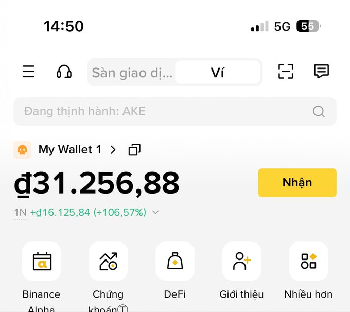 A screenshot of a Binance mobile app wallet interface in Vietnamese, showing a balance of 'đ31.256,88' with a +106,57% gain, and navigation tabs for Binance Alpha, Chứng khoán, DeFi, Giới thiệu, and Nhiều hơn.