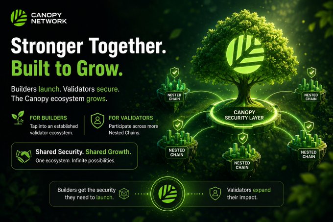 A promotional graphic for Canopy Network titled 'Stronger Together. Built to Grow.' featuring a glowing green tree labeled 'Canopy Security Layer' connected to 'Nested Chain' islands, with sections for builders and validators emphasizing shared security and growth.