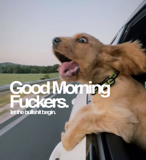 "Good Morning CT What people call "AI x crypto narrative" is actually a full system redesign happening in layers for AI native DeFi, @quipnetwork protects the stack with post-quantum resilience, @TheARCTERMINAL ensures every agent".