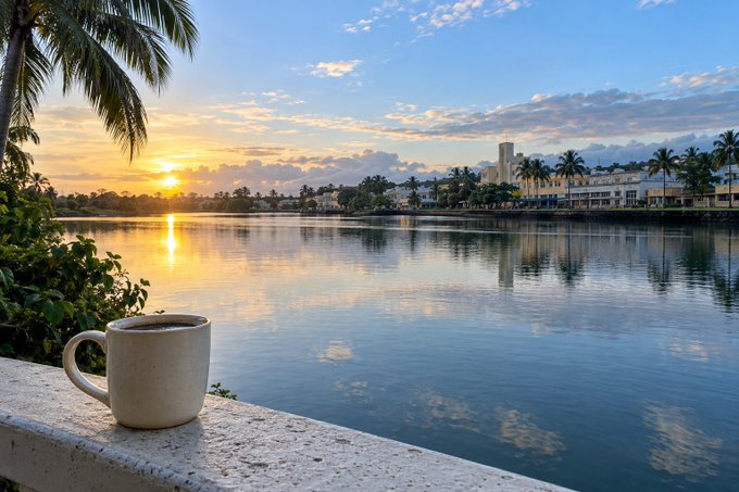 A serene sunset view over a calm tropical bay with palm trees, a coffee mug in the foreground, and buildings along the distant shoreline.