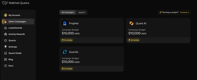 A screenshot of a web page displaying several text boxes and buttons arranged along a long horizontal line against a dark gray background. The title "Wallchain Quacks" is prominently displayed at the top of the screen, while below it are three more boxes containing various information such as campaign status, campaign budget, and post date. Additionally, there's a button labeled "Run campaigns", indicating that the user can initiate or manage campaigns on Wallchain.