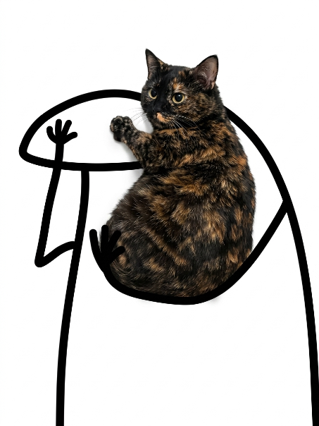 A tortoiseshell cat sitting on a transparent chair, with its body visually filling the curved outline drawn over the image.