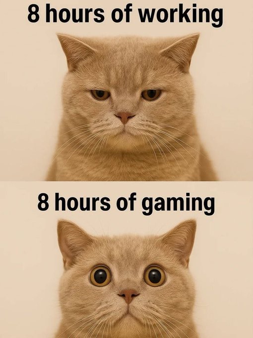 A two-panel meme features the same orange cat with contrasting expressions: the top shows a tired, half-lidded stare labeled "8 hours of working," while the bottom displays wide, alert eyes labeled "8 hours of gaming." The post highlights the gamer's enthusiasm for @Immutable games, joking that they can stay energetic and engaged for hours of gaming despite being exhausted from work.