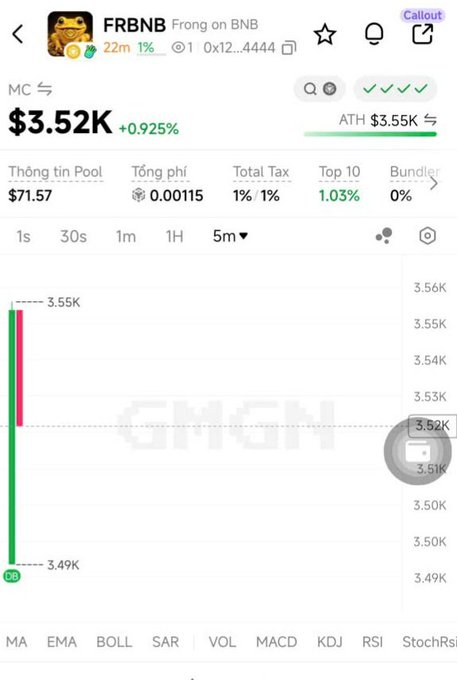 Crypto trading chart for token FRBNB (Frong on BNB) showing a market cap of $3.52K with +0.925% gain, ATH of $3.55K, and a 5-minute candlestick chart.