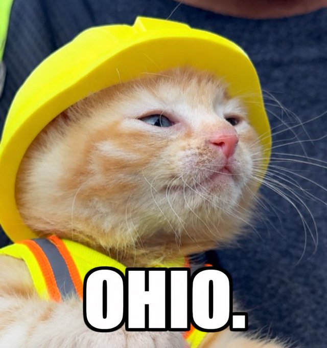 A meme image shows an orange and white cat wearing a yellow hard hat and a safety vest, looking off to the side with a skeptical expression, captioned 'OHIO.'